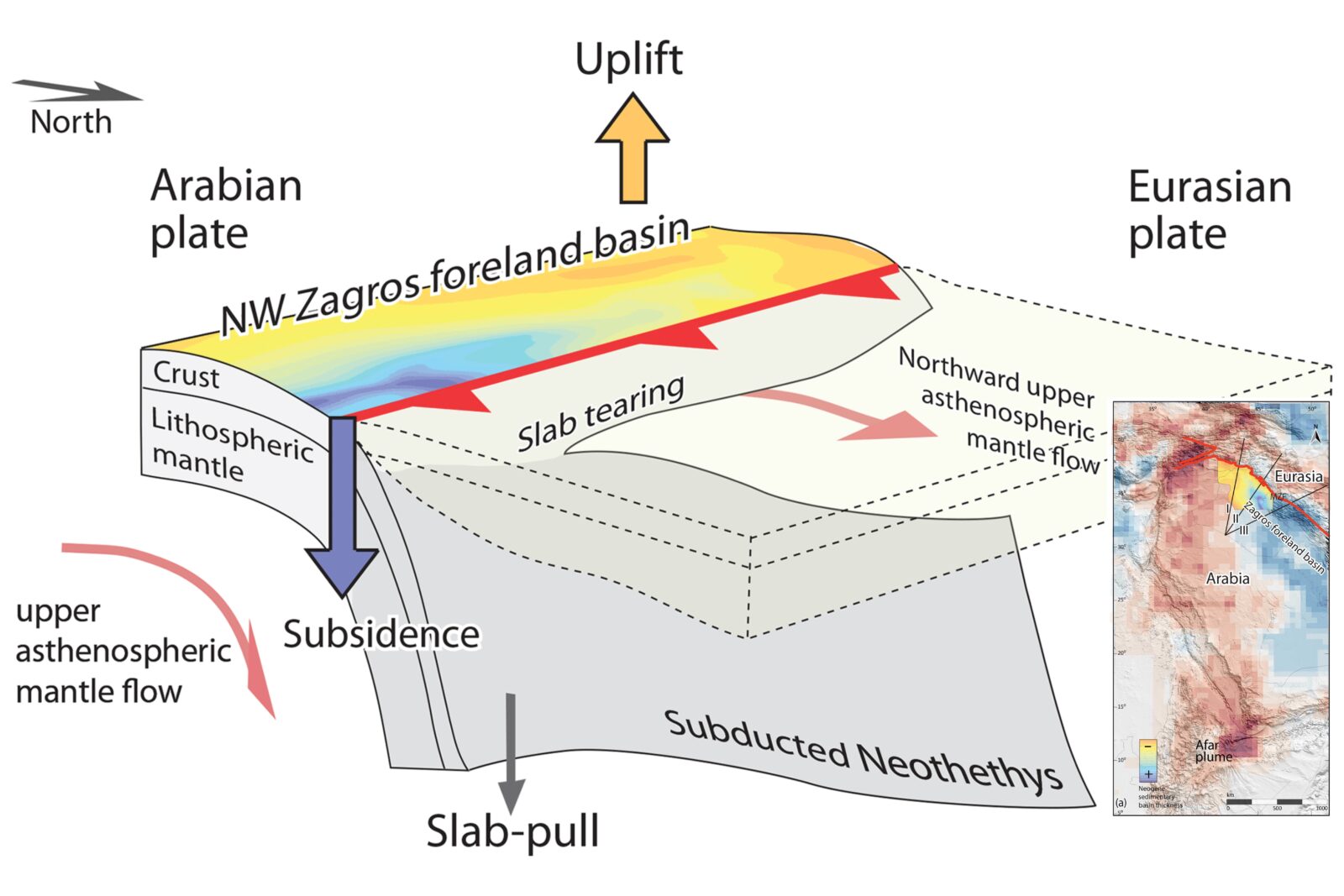 Conceptual illustration of the NW Zagros foreland basin's evolution during the Neogene, in response to the tearing, detachment, and breakoff of the downgoing Neotethys oceanic slab along the Arabia–Eurasia suture zone, from NW to SE, and the northward flow of upper-mantle material in western Arabia. 