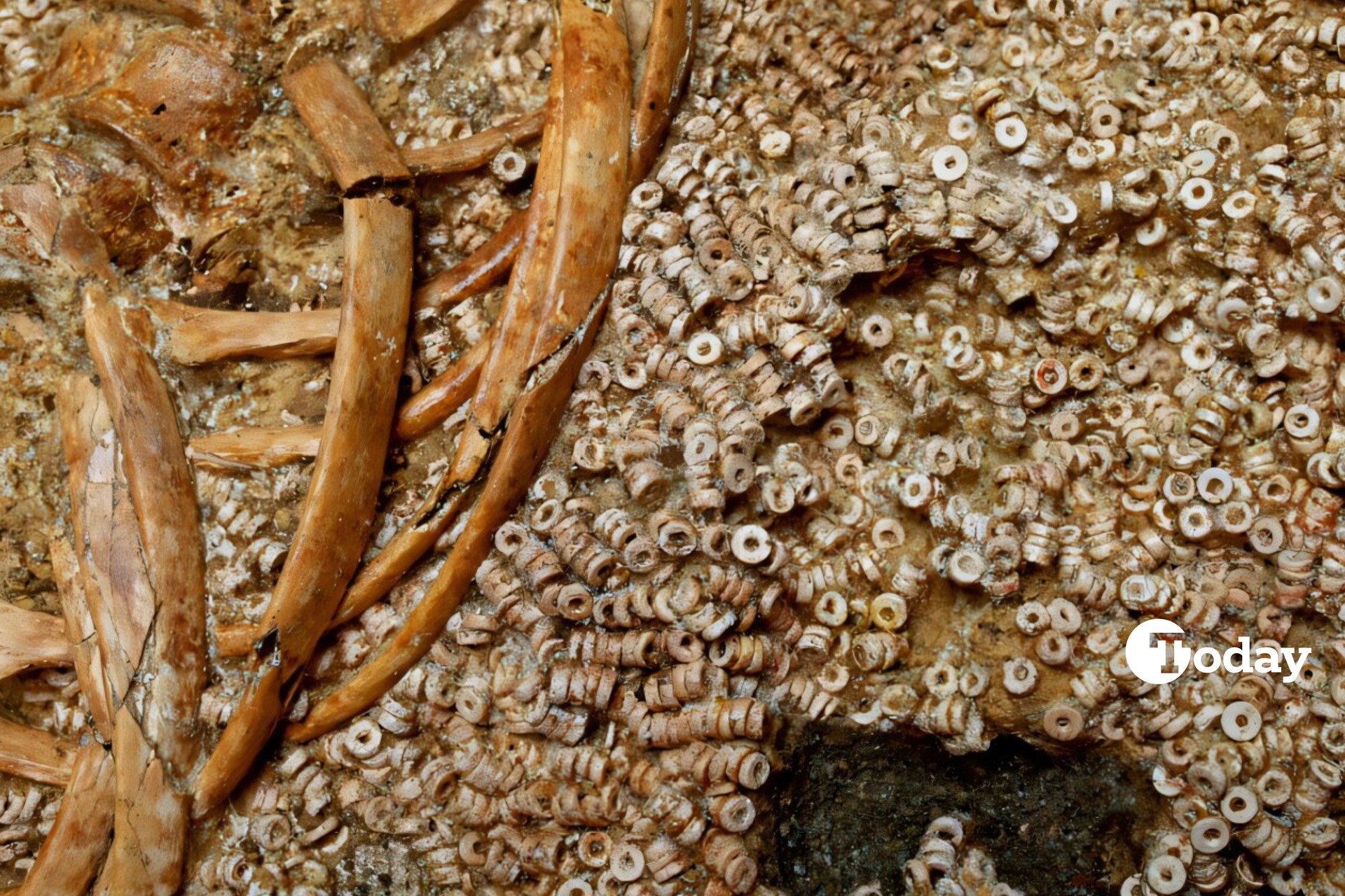 Mysterious ancient tomb in Spain holds 270,000 beads, hinting at elite status