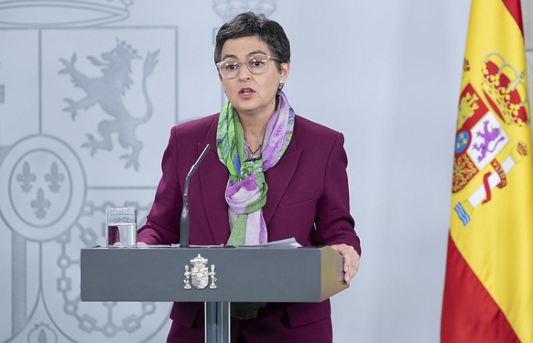 Türkiye is indispensable for EU: Former Spanish FM Laya