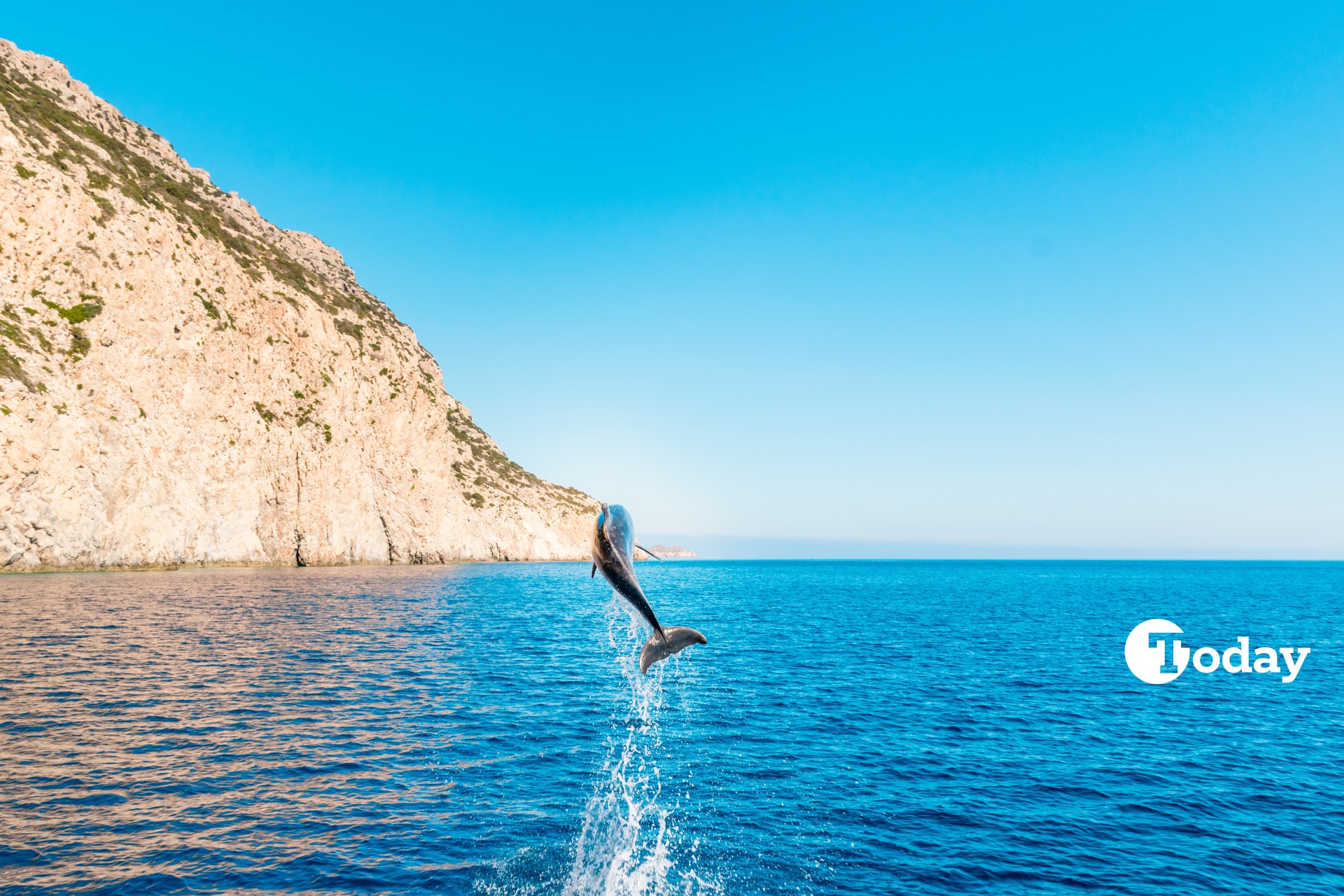 Shaking seas threaten Santorini's marine life, says Turkish expert