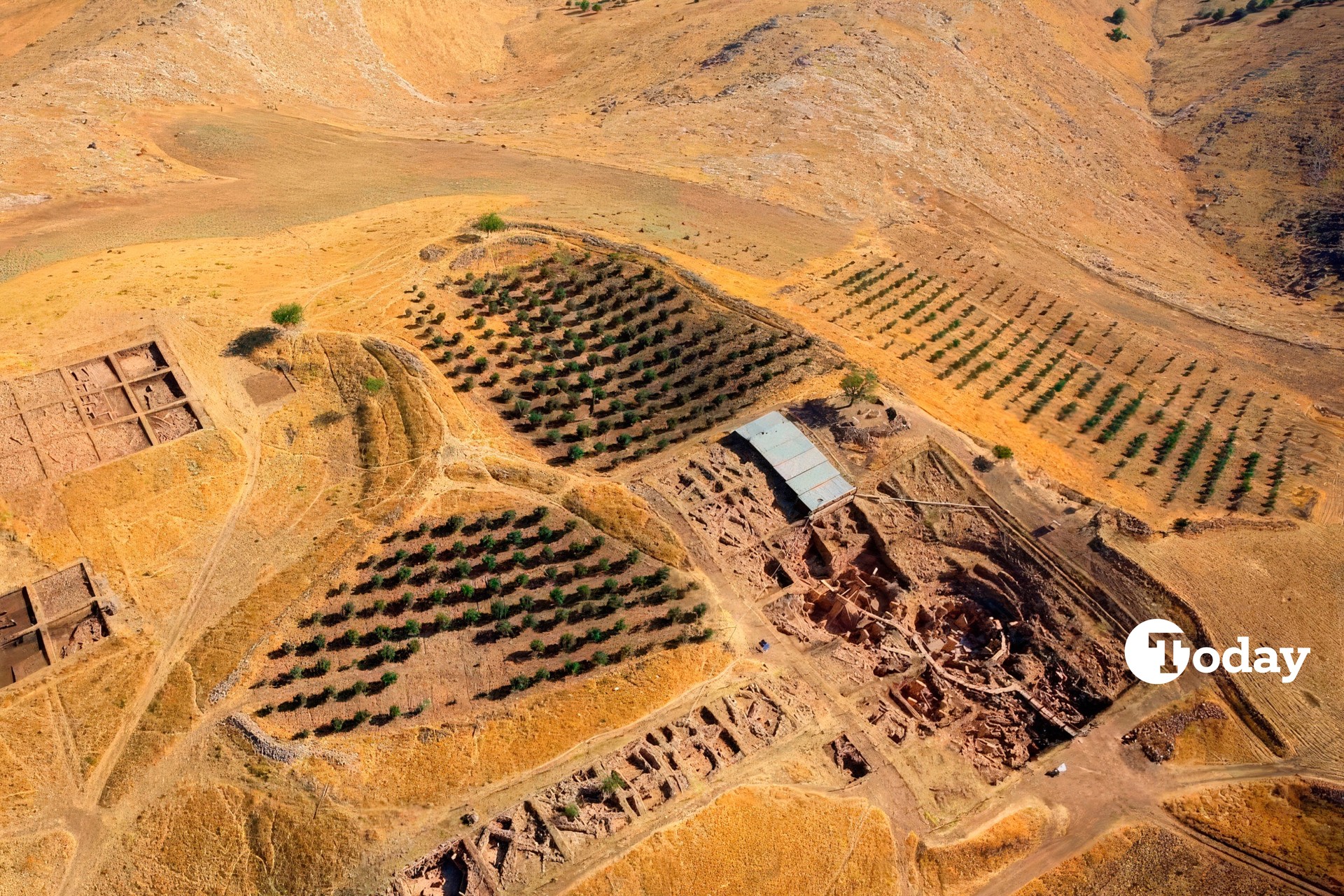 Gobeklitepe controversy leads to removal of trees—here is why