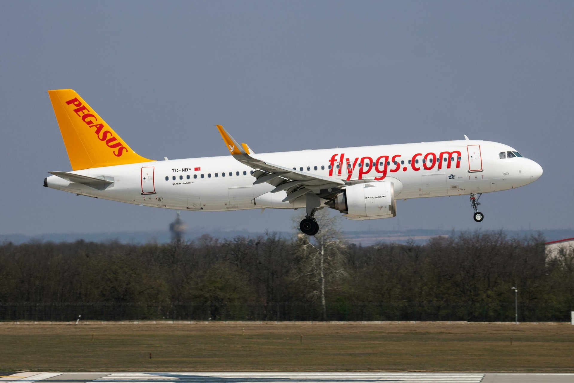Pegasus Airlines Airbus A320 NEO TC-NBF passenger plane arrival and landing at Budapest Airport, Hungary. (Stock Photo)