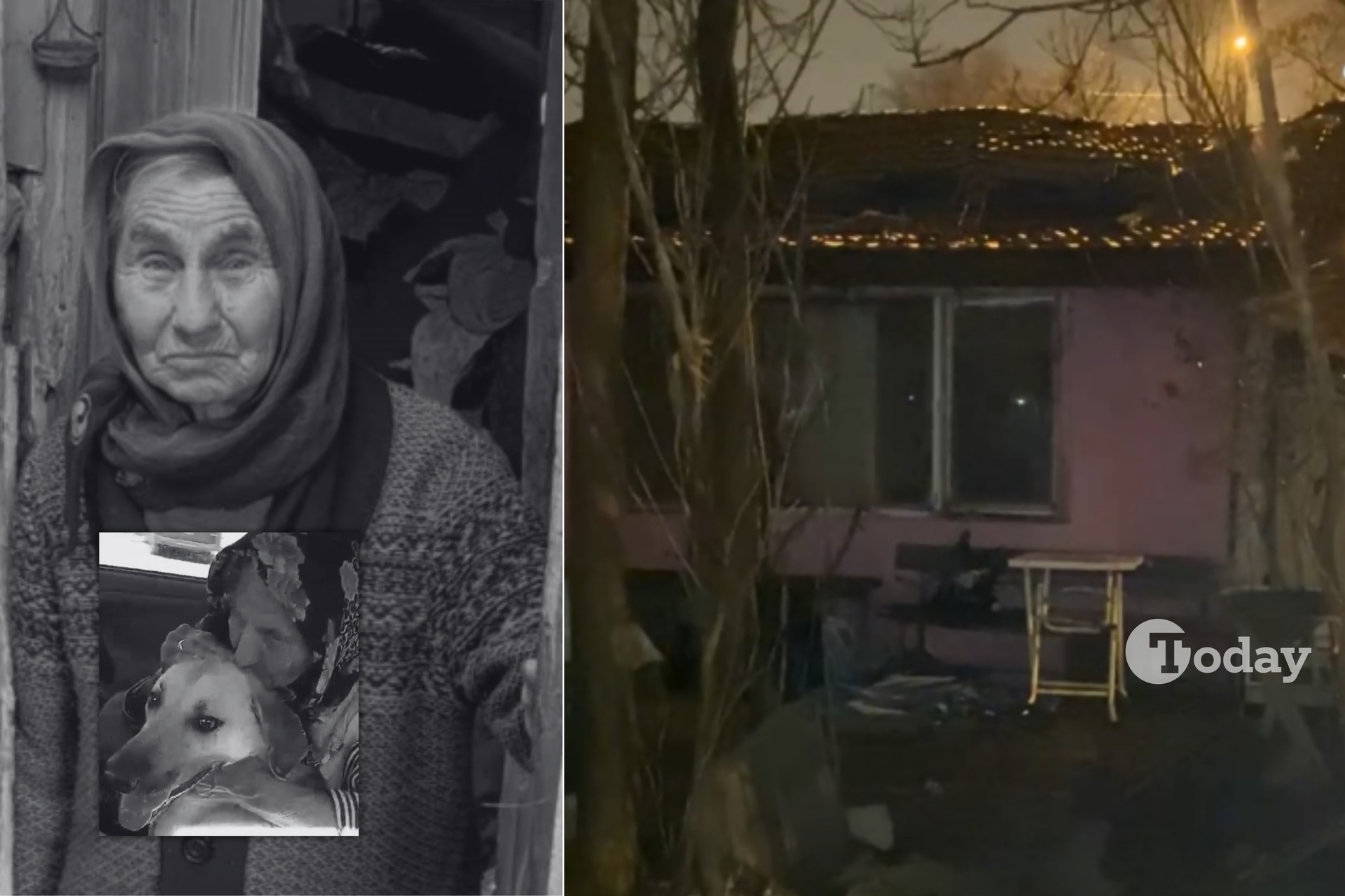 Did arson kill 81-year-old animal lover in Ankara? Shocking allegations surface