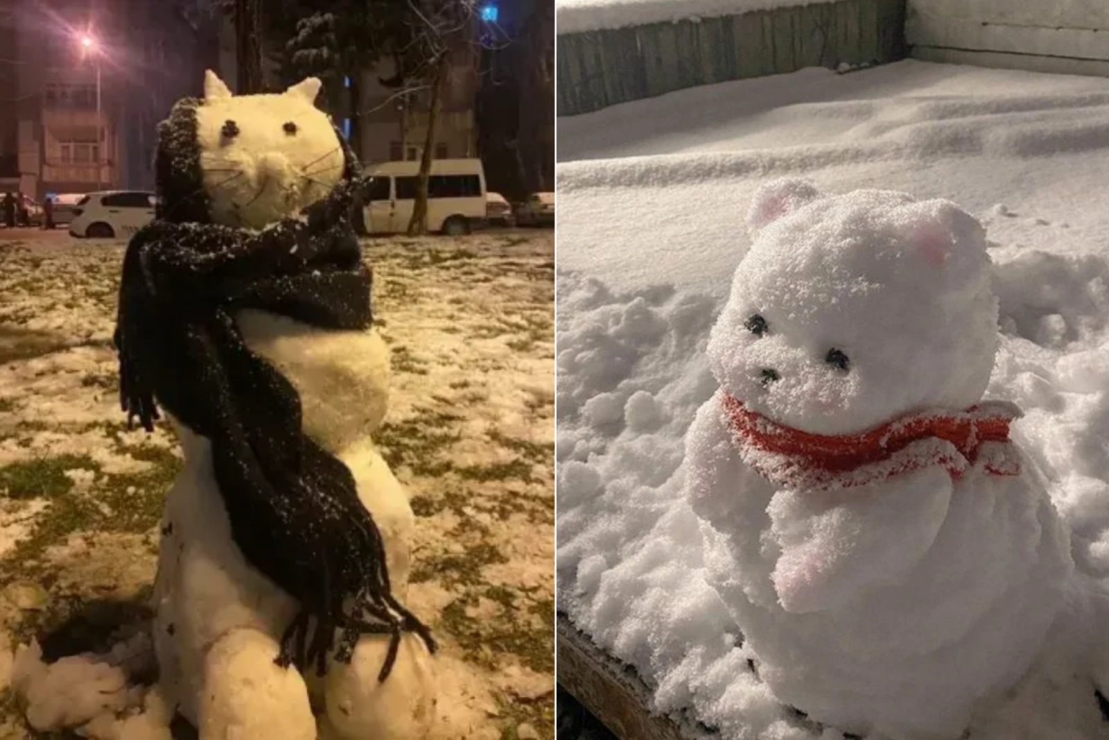 A cozy snow cat and an adorable snow bear sit proudly, wrapped in scarves against the winter chill, Amasya, Türkiye, Feb. 20, 2025. (Courtesy of Objektif Amasya)