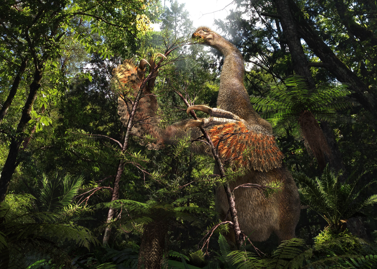An artistic reconstruction of Duonychus tsogtbaatari, the newly discovered two-fingered therizinosaur, using its large claws to pull vegetation closer in a Cretaceous forest in what is now Mongolia, Mar. 25, 2025. (Illustration by Masato Hattori)