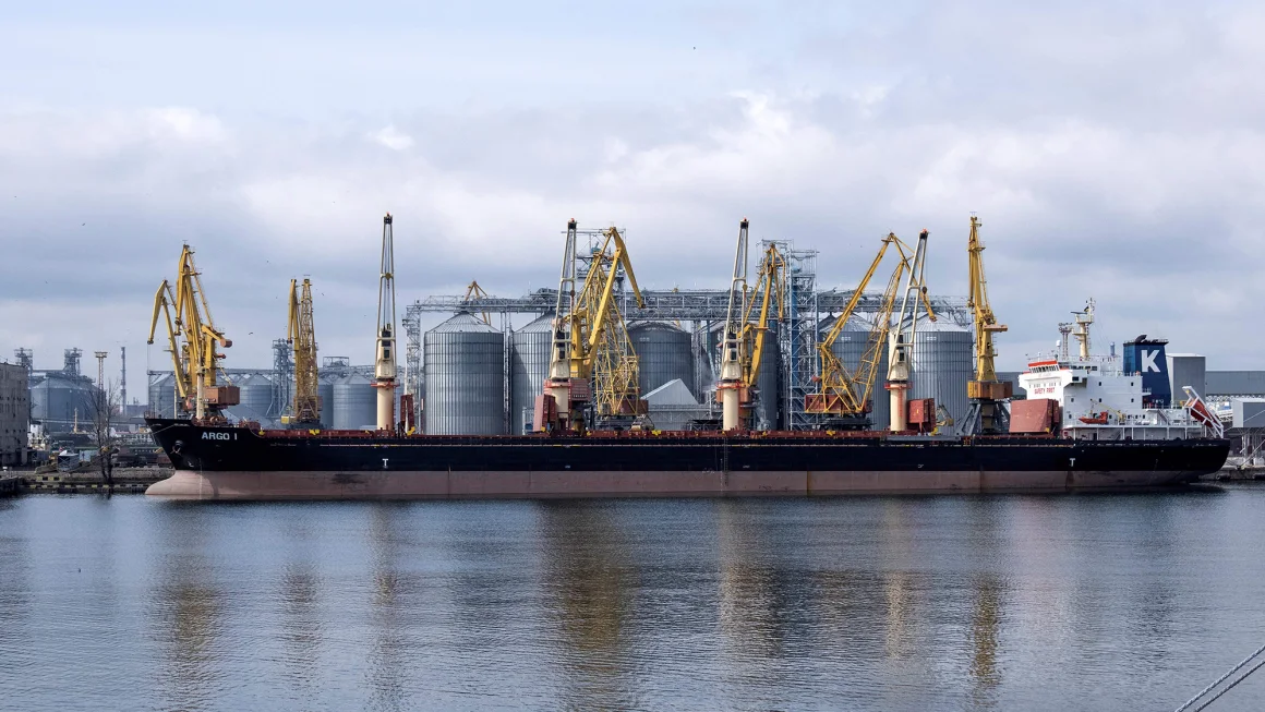 A bulk carrier ship docked at the grain terminal in the port of Odesa, Ukraine, in April 2023. (AFP Photo)