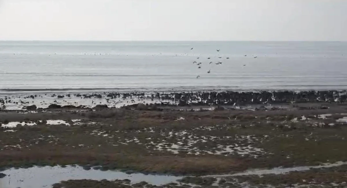 Türkiye's largest, Lake Van under threat: Significant water loss recorded