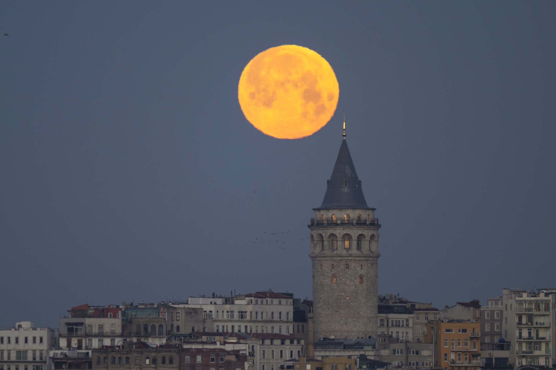 Home away from home: Türkiye's Italian legacy and heritage