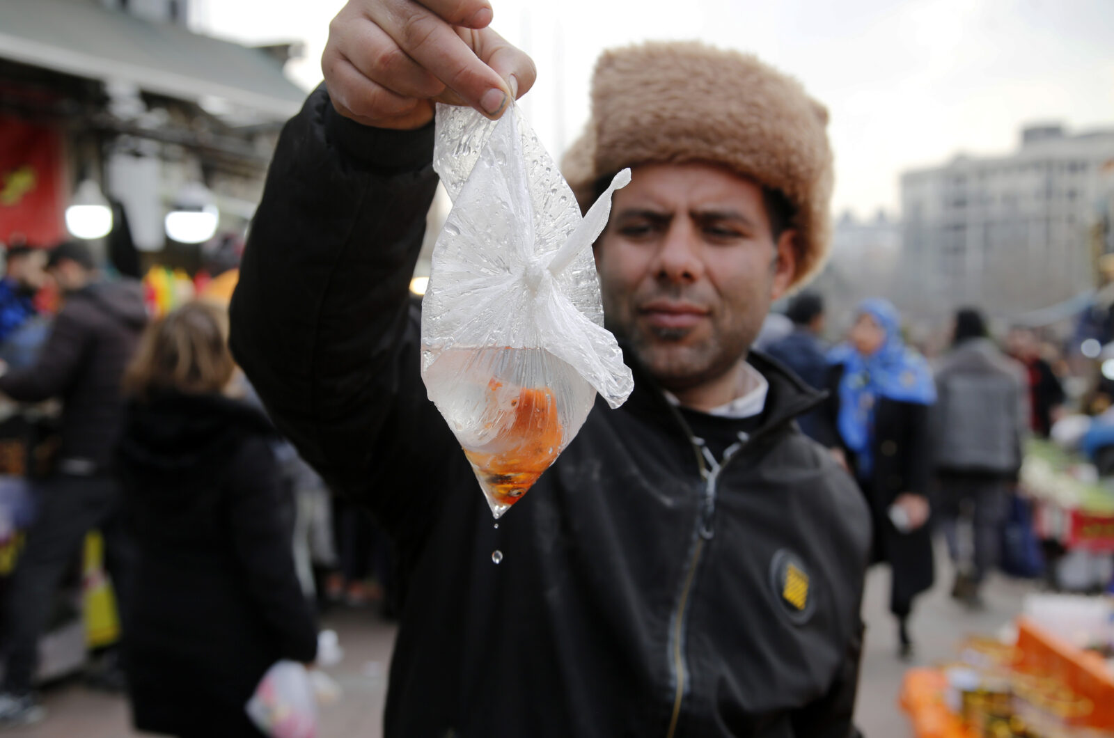 In Iran, goldfish symbolize 