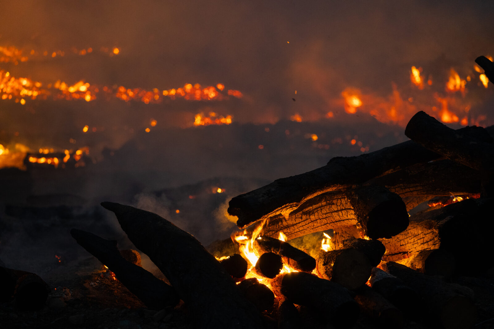 19 killed as firefighting helicopter crashes amid wildfires in South Korea