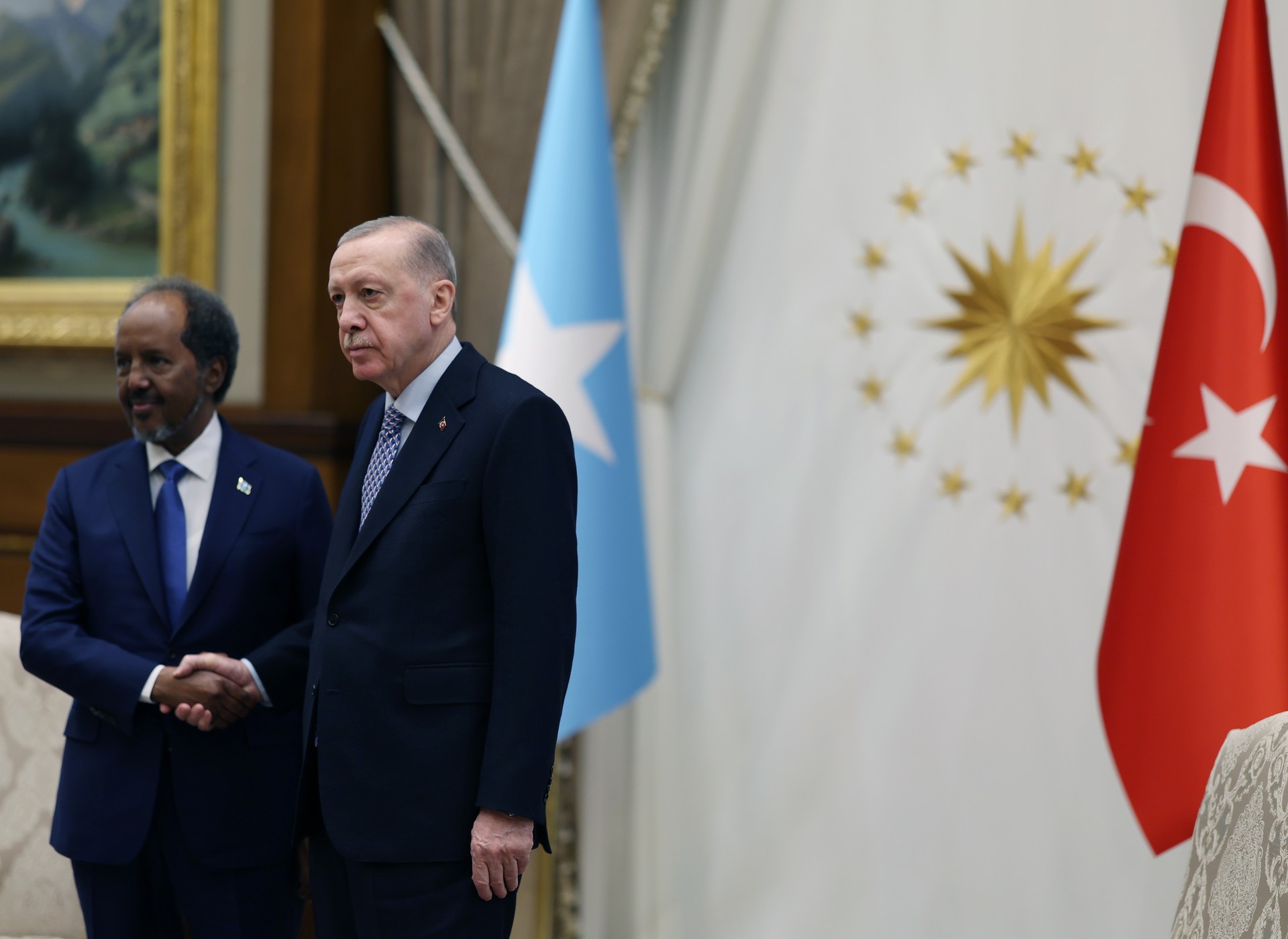 President Erdogan reaffirms Türkiye's support for Somalia's peace and security