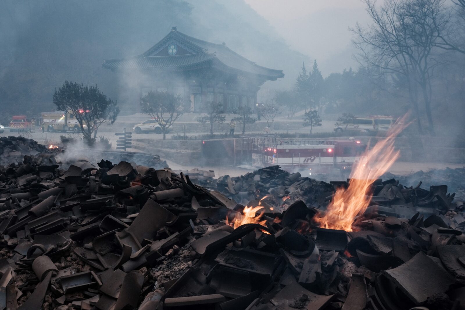 Türkiye offers condolences for victims of South Korea wildfires