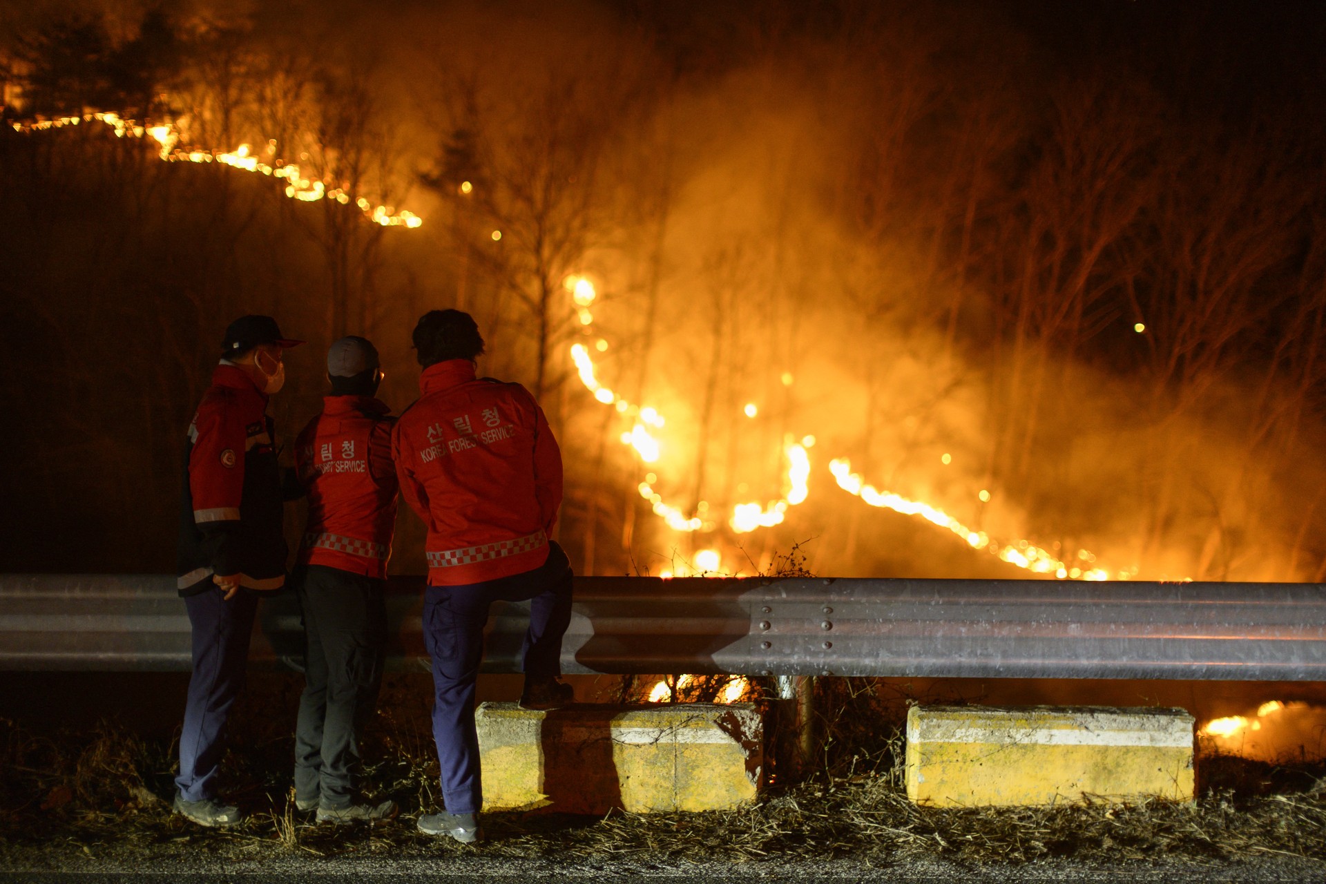 Türkiye offers condolences for victims of South Korea wildfires