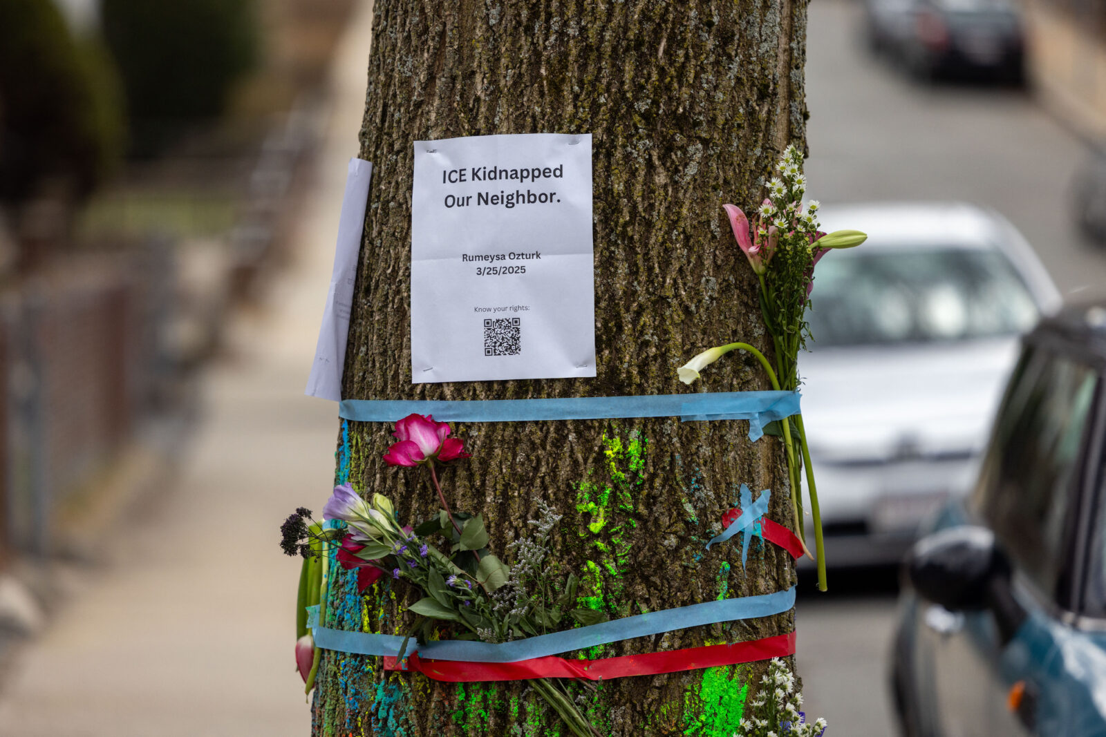 Signage and flowers are placed on a tree next to where ICE agents apprehended Tufts University graduate student Rumeysa Ozturk, Somerville, Massachusetts, March 27, 2025. (AFP Photo)