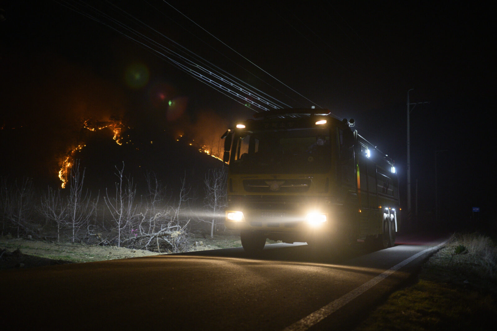 Türkiye offers condolences for victims of South Korea wildfires