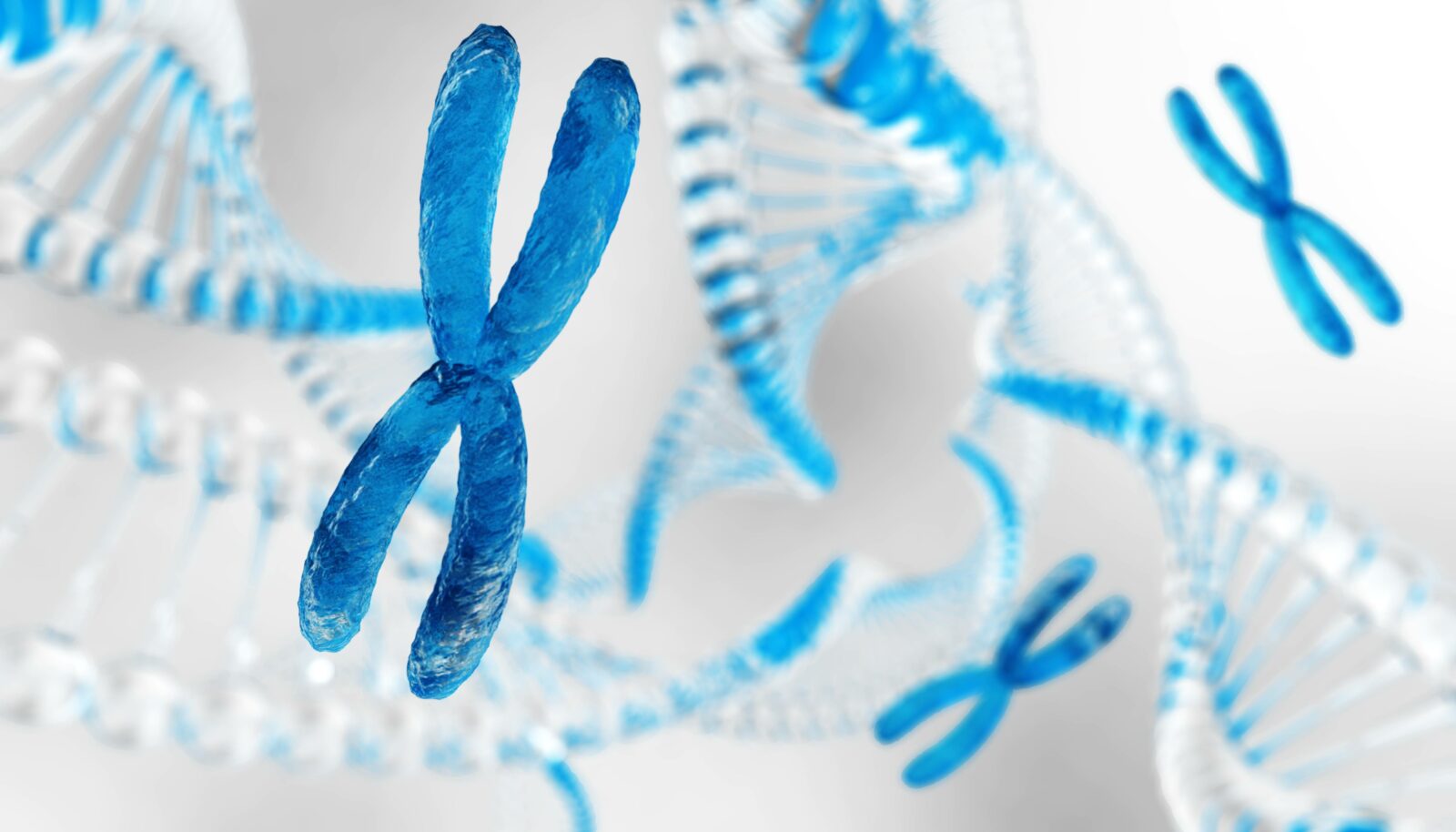 A digital visualization of blue X chromosomes floating near strands of DNA. (Adobe Stock Photo)