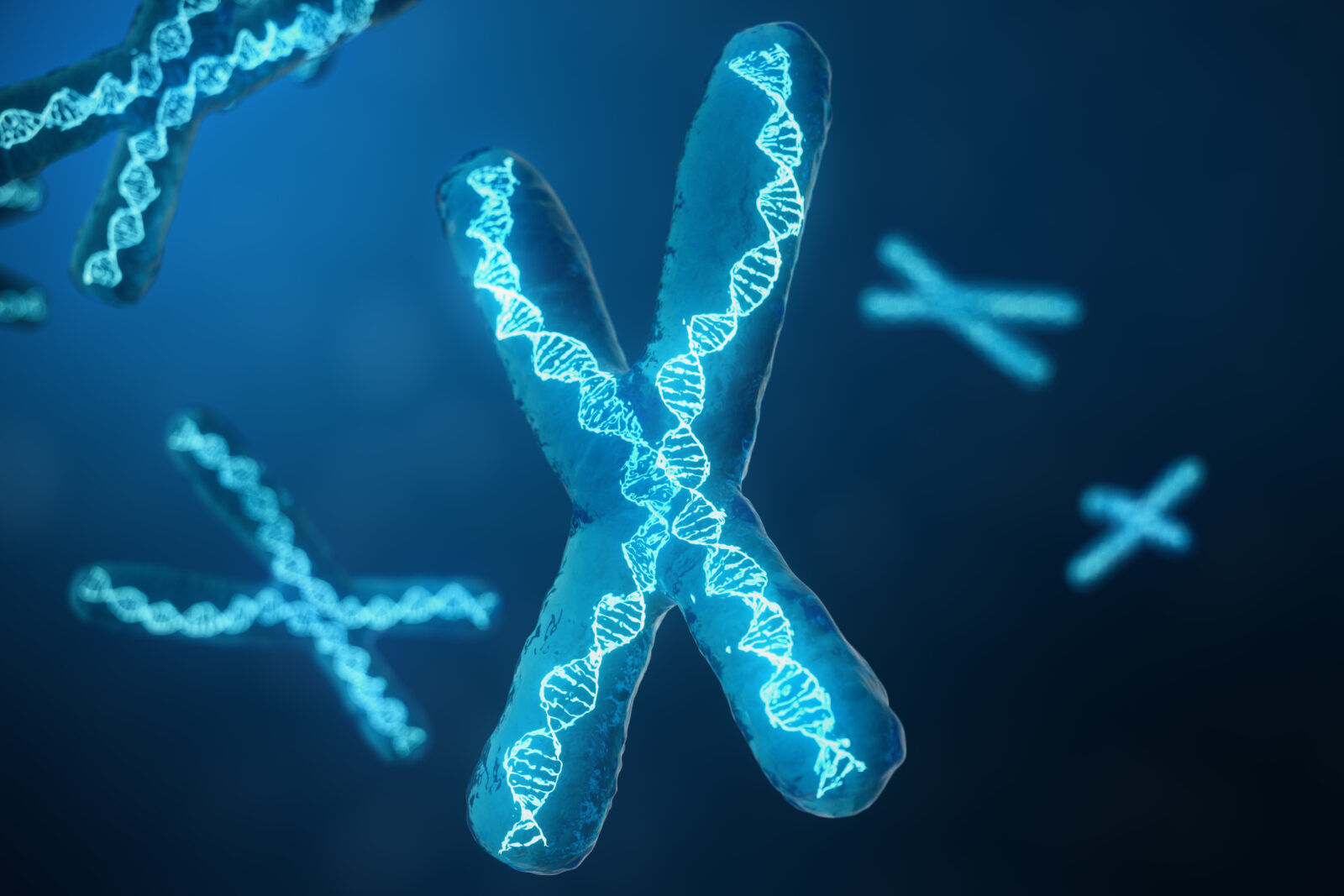 A glowing X chromosome with DNA double helix overlay, representing genetic activity. (Adobe Stock Photo)