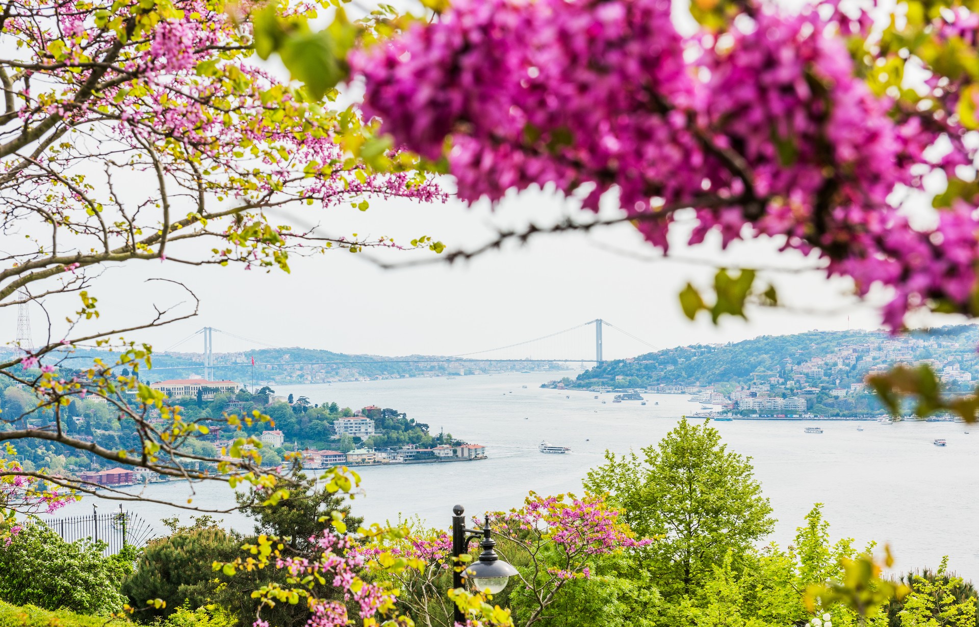 Best 10 getaways near Istanbul for perfect spring escape in 2025