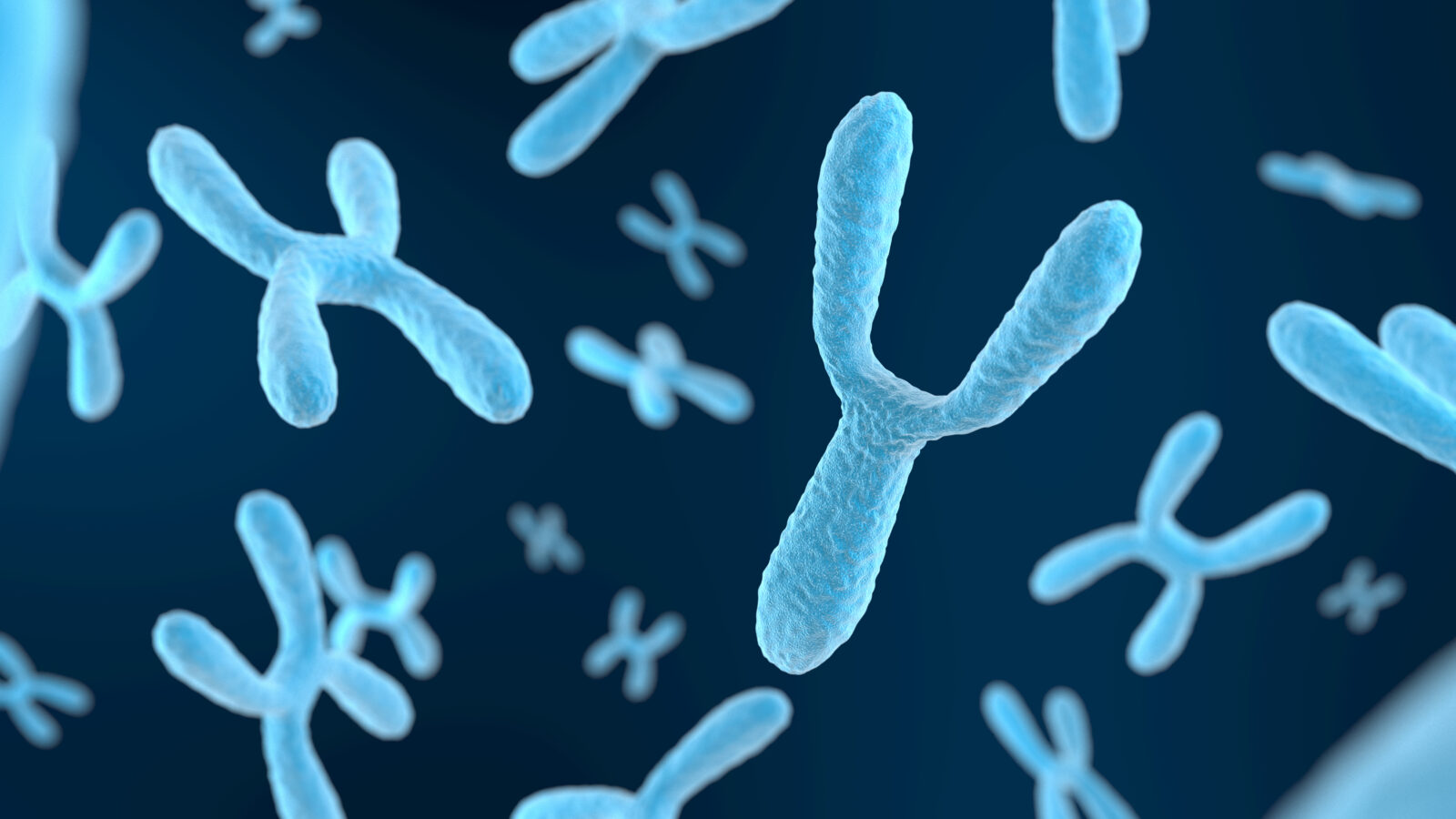 Floating Y chromosomes are shown in a digital environment with a dark blue background. (Adobe Stock Photo)