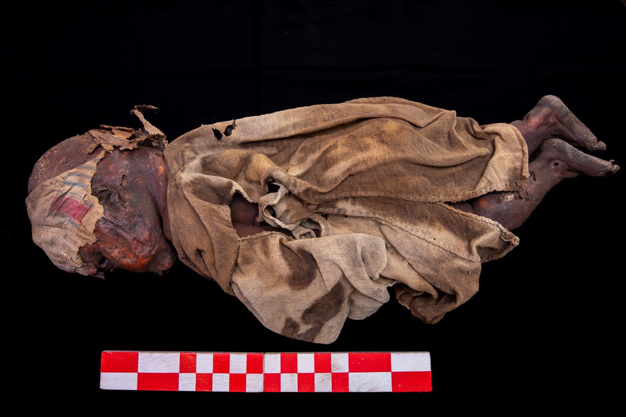 A baby mummy of a royal tomb dating back to 1,700–1,600 B.C. has been uncovered in Abydos, southern Egypt. (Photo via Egyptian Ministry of Tourism and Antiquities)