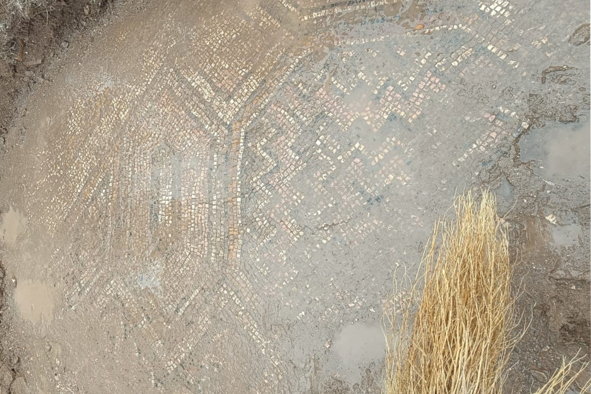 Ancient mosaic layer discovered during grave excavation in Türkiye's Diyarbakir