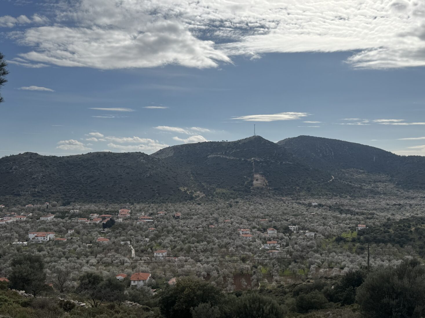 Datca Peninsula is one of Türkiye's important tourism destinations in Mugla, Türkiye. (AA Photo)