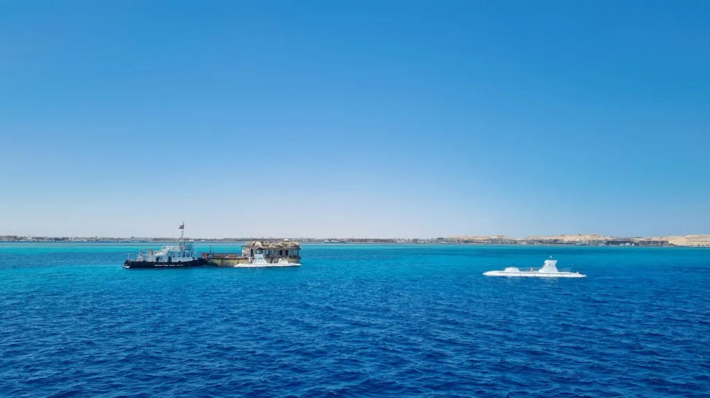 Survivors speak out after fatal submarine sinking in Red Sea