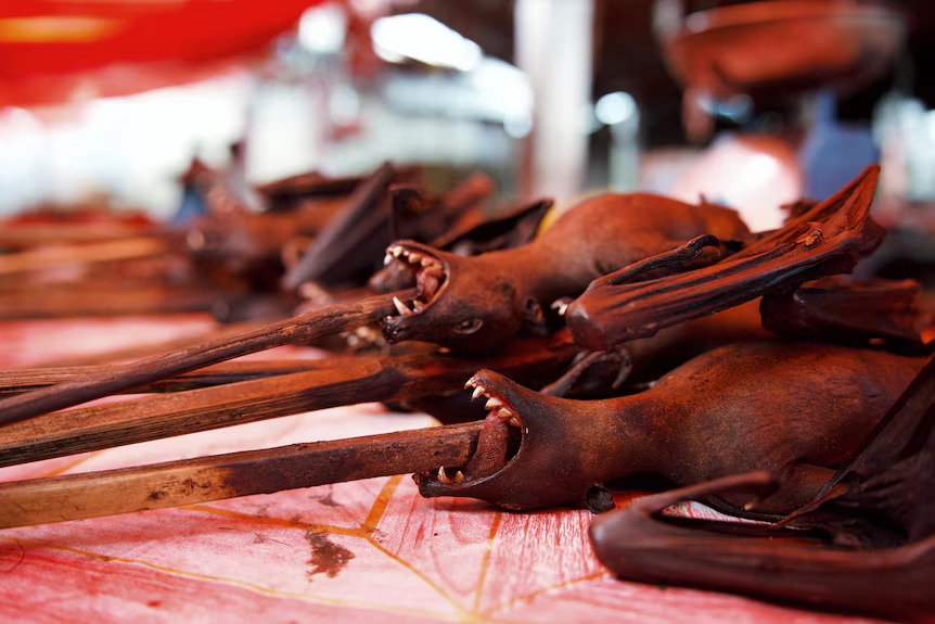 Bat meat. (Photo via ABC News)