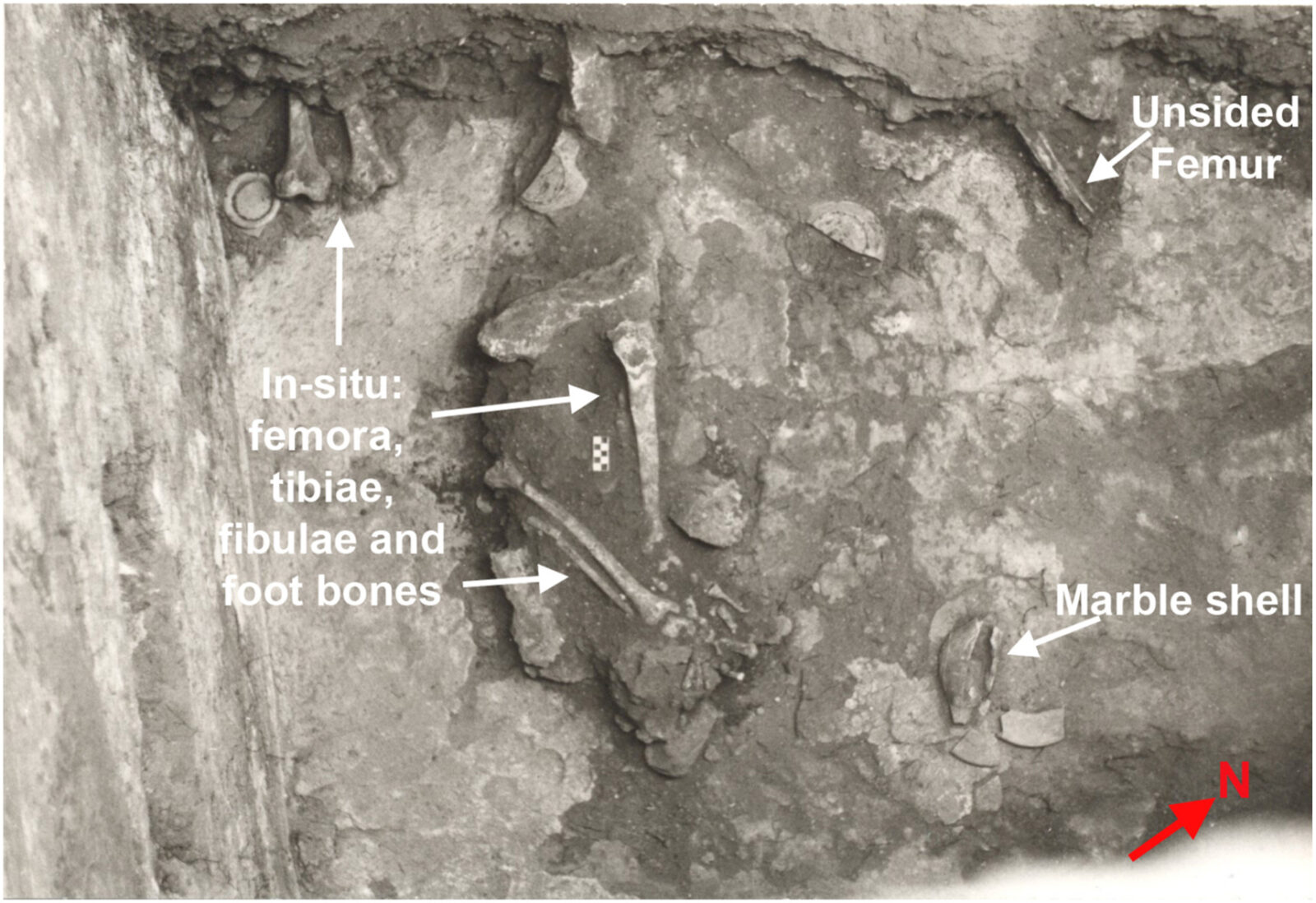 1977 excavation photo of the tomb floor