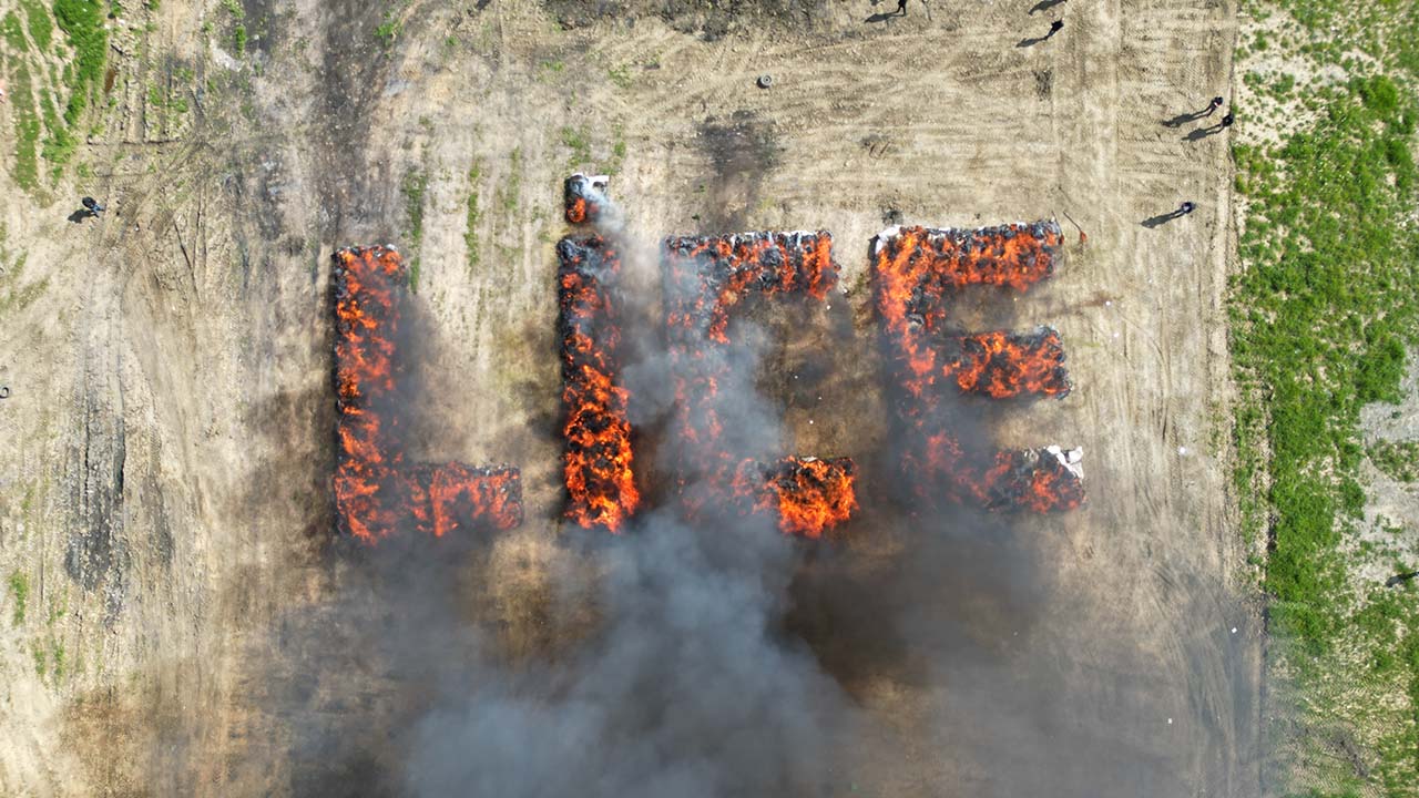 Turkish town of 25,000 gets involuntary high from 20-ton cannabis burn Image