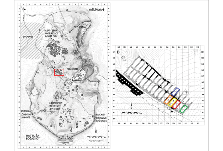 A) Plan of <a href=
