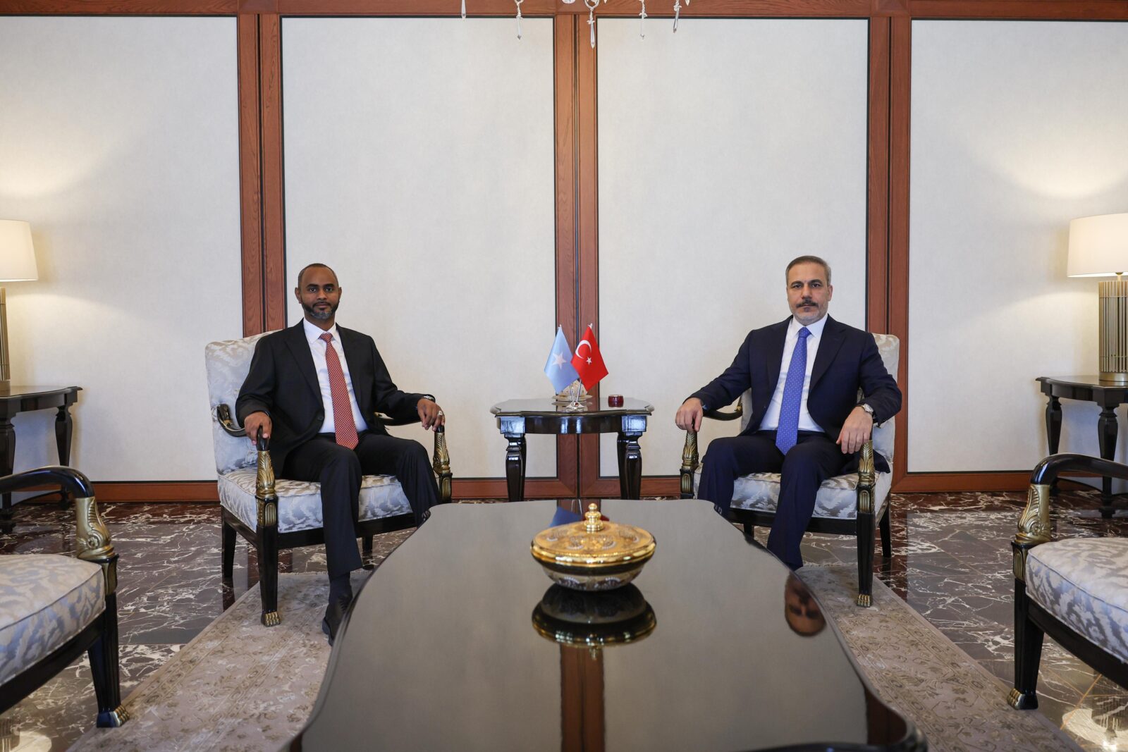 Türkiye, Somalia share genuine partnership based on mutual benefit: Somali President