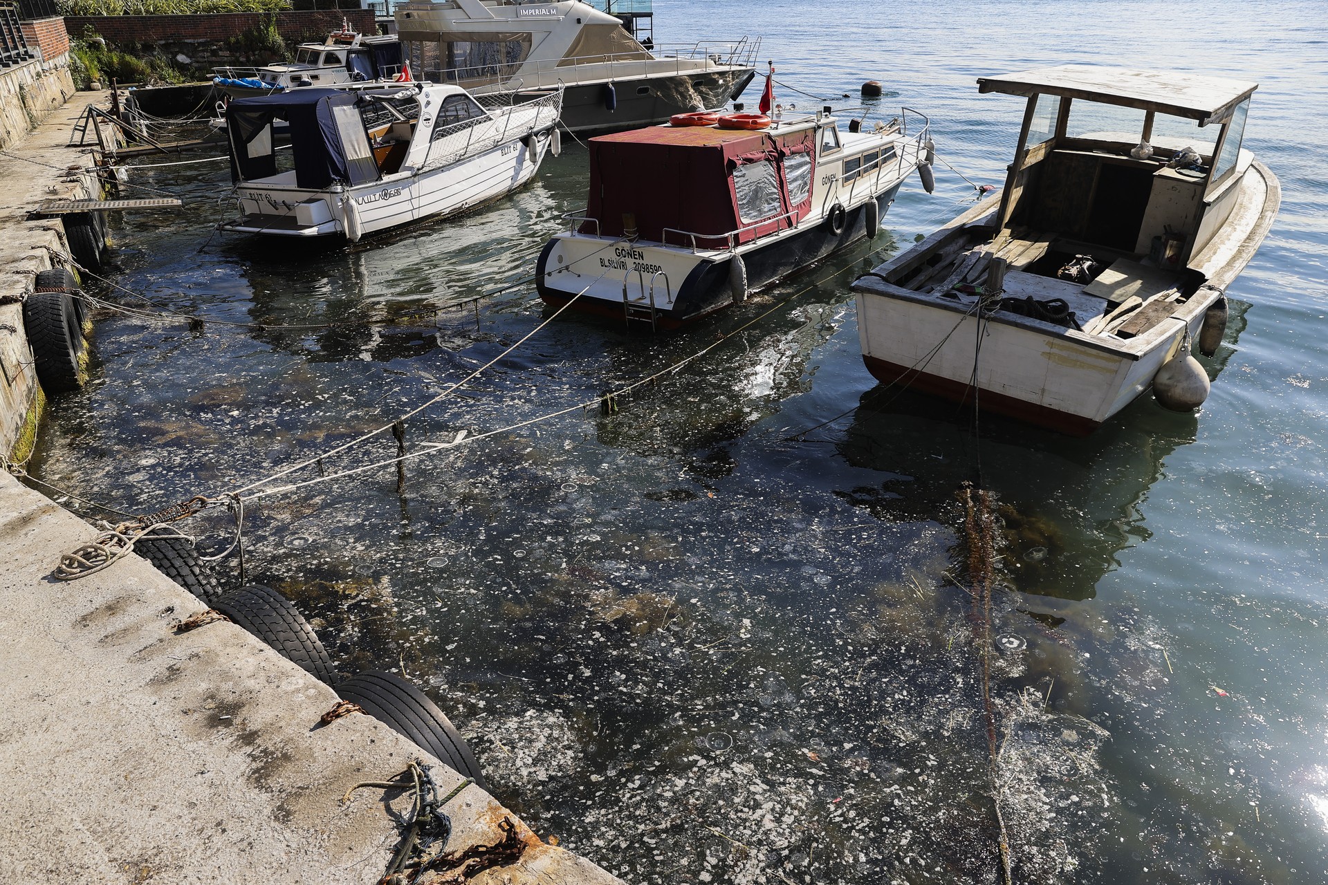 Mucilage threat deepens in Marmara Sea as scientists warn of alarming accumulation Image