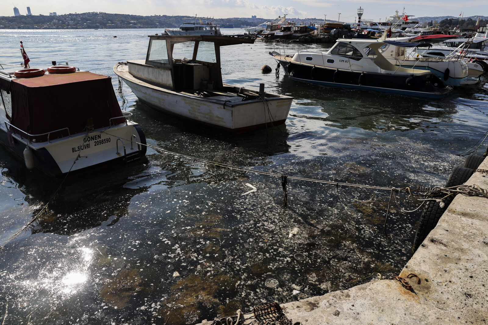 Mucilage seen on the sea surface at Beykoz coast in Istanbul, Türkiye, April 13, 2025. (AA Photo)