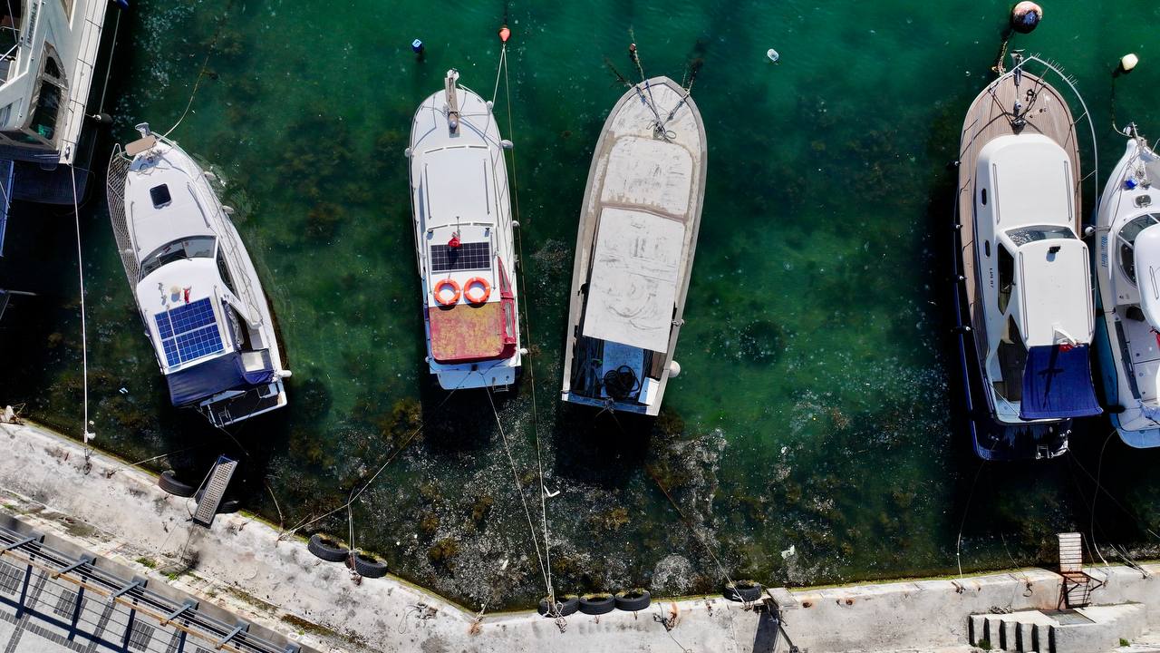 Aerial view of mucilage seen on the sea surface at Beykoz coast in Istanbul, Türkiye, April 13, 2025. (AA Photo)