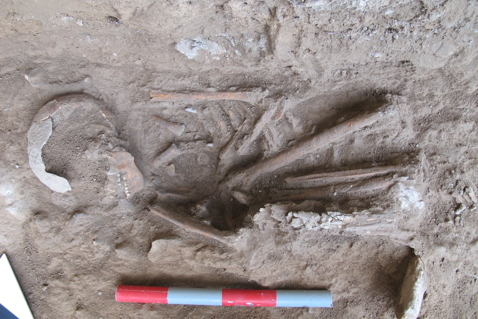 DNA breakthrough reveals earliest Anatolian gene in Türkiye's Girmeler Hoyuk Image