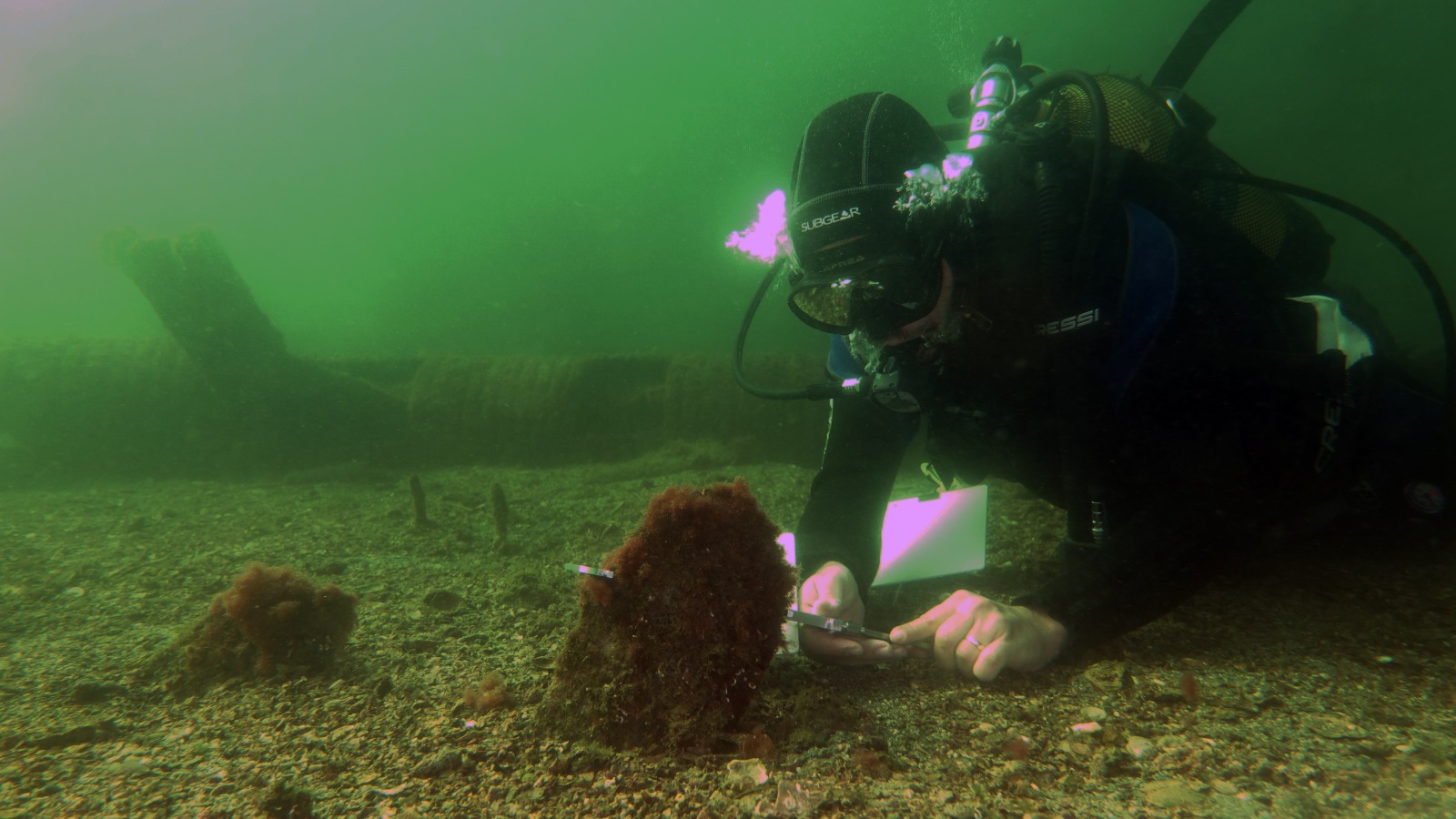 Türkiye launches innovative marine projects to combat mucilage in Marmara Sea Image