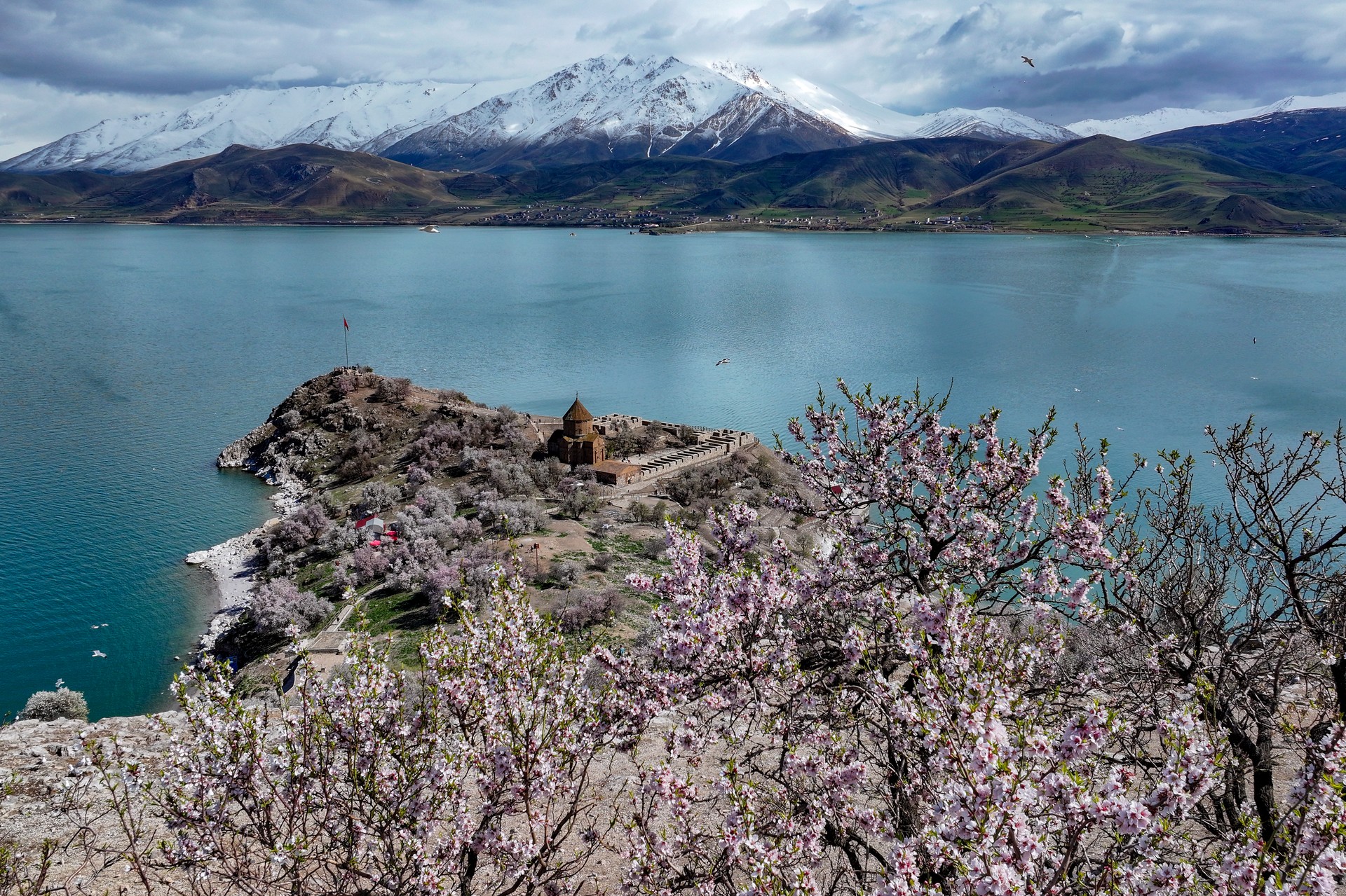 Almond blossoms set stage for festival on Akdamar Island in Türkiye’s Van Lake Image