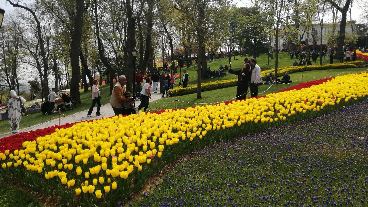 In Istanbul, Türkiye, areas visited by local and foreign tourists are covered with tulips as part of the Tulip Festival, April 20, 2025. (AA Photo)