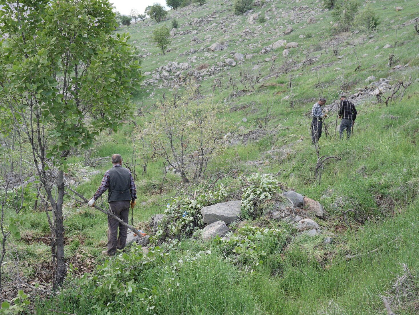 Chaldeans returning to Aksu village in Silopi, Sirnak, thanks to restored peace in the region, Türkiye, April 21, 2025. (AA Photo)