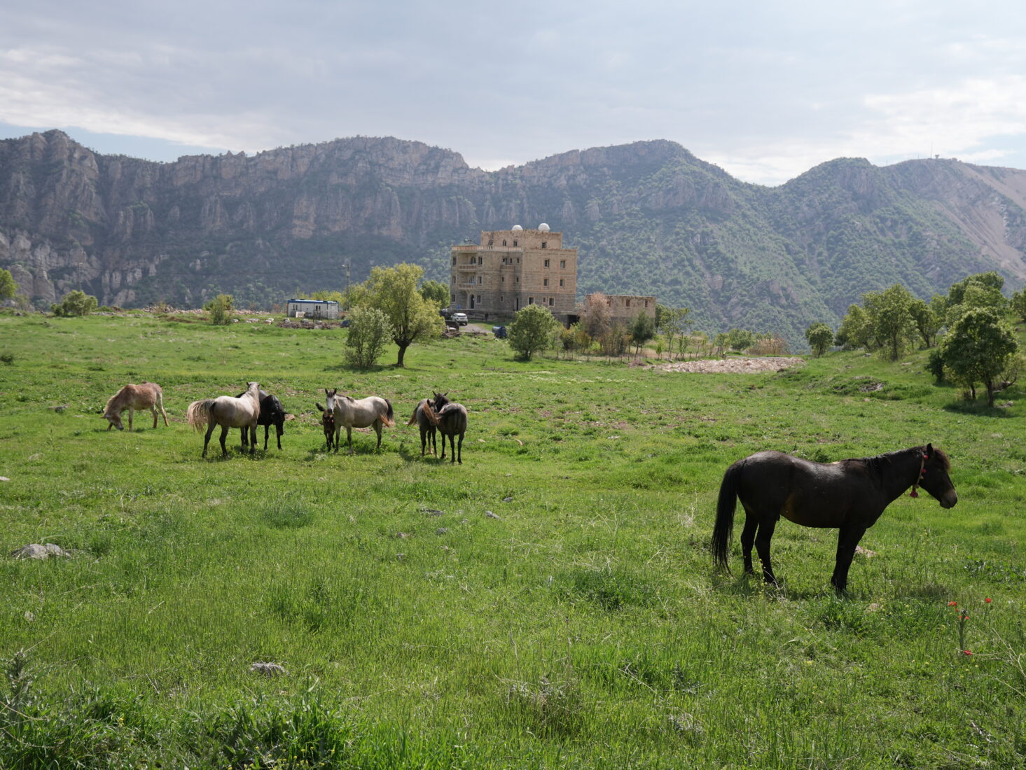 Aksu village at the foot of Mount Cudi, once abandoned by Chaldeans in the 1990s, Sirnak's Silopi district, Türkiye, April 21, 2025. (AA Photo)