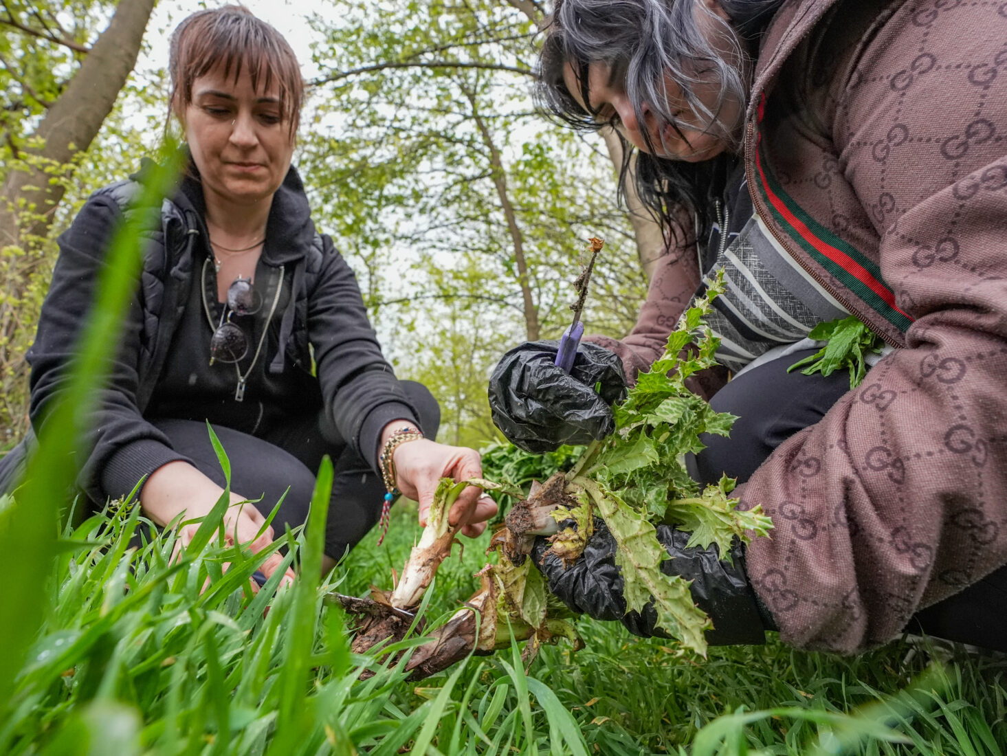 In Diyarbakir’s Hevsel Gardens, UNESCO-listed and home to 8,000 years of agriculture, wild herbs are gathered by instructors and trainees from Yenisehir Public Education Center, Türkiye, April 21, 2025. (AA Photo)