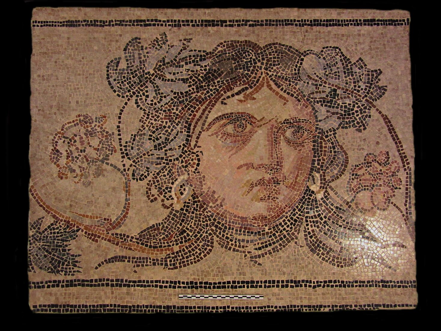 Twelve mosaic pieces originating from Zeugma, found at Bowling Green University in 2012, were returned to Türkiye on Nov. 26, 2018. (AA Photo)