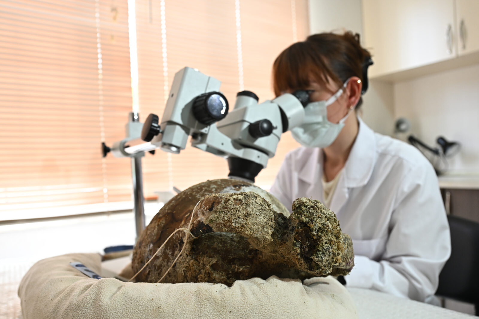 An expert works on a 1,100-year-old, closed-mouth amphora (a jug used in ancient times) that was removed from a shipwreck during underwater excavations carried out with the help of robots off the coast of Kas, Antalya, Türkiye, April 22, 2025. (AA Photo)