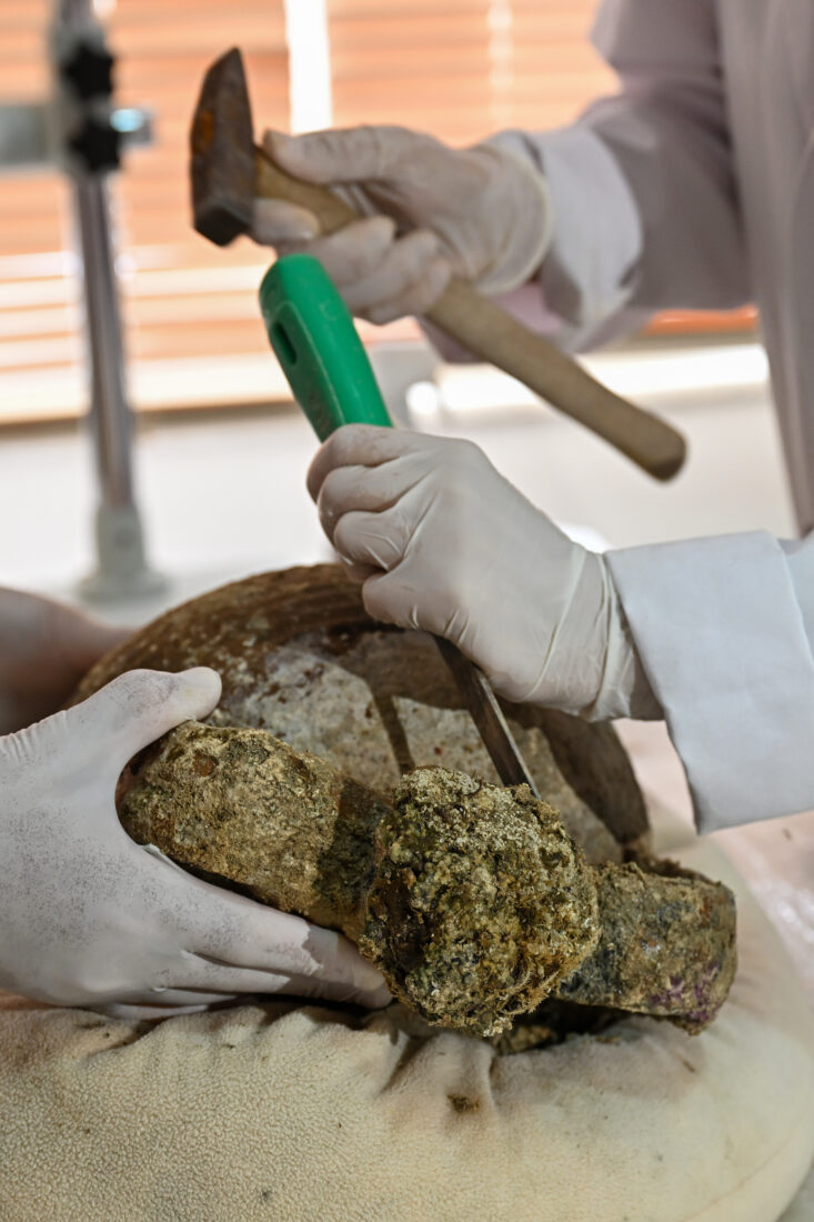 An expert works on a 1,100-year-old, closed-mouth amphora (a jug used in ancient times) that was removed from a shipwreck during underwater excavations carried out with the help of robots off the coast of Kas, Antalya, Türkiye, April 22, 2025. (AA Photo)