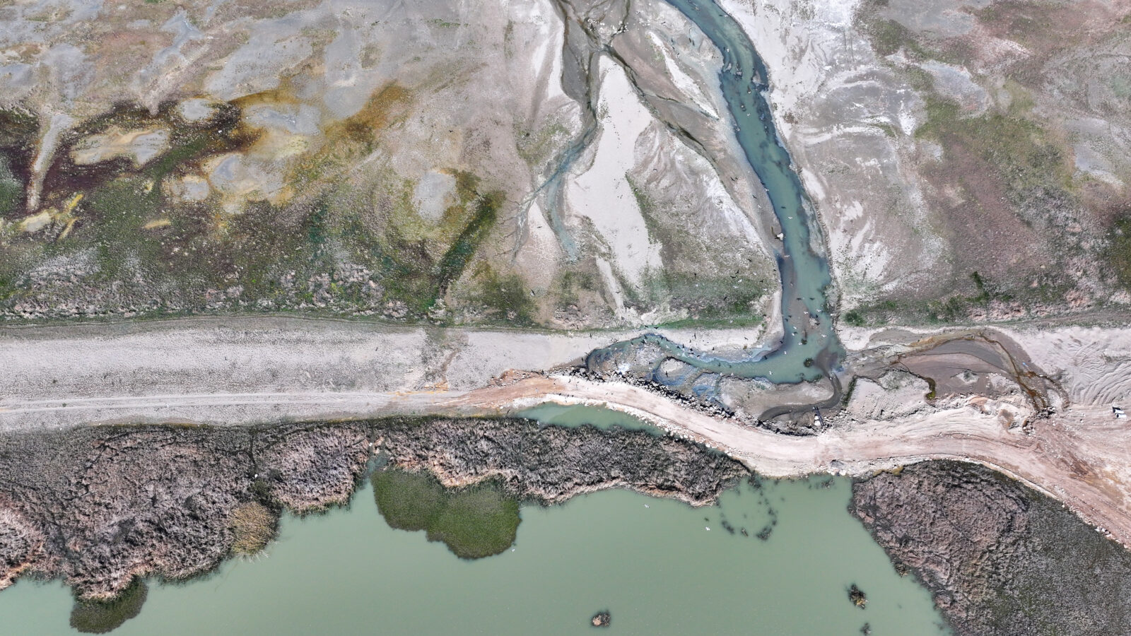 An aerial view of Dilkaya Reedbed, also known as Bird sanctuary, is seen after the works of restoring the natural setting in Van, Türkiye, April 29, 2025. (AA Photo)