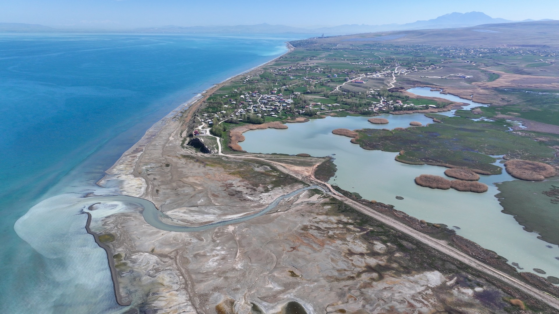 Bird sanctuary in Türkiye's Van revived through environmental restoration