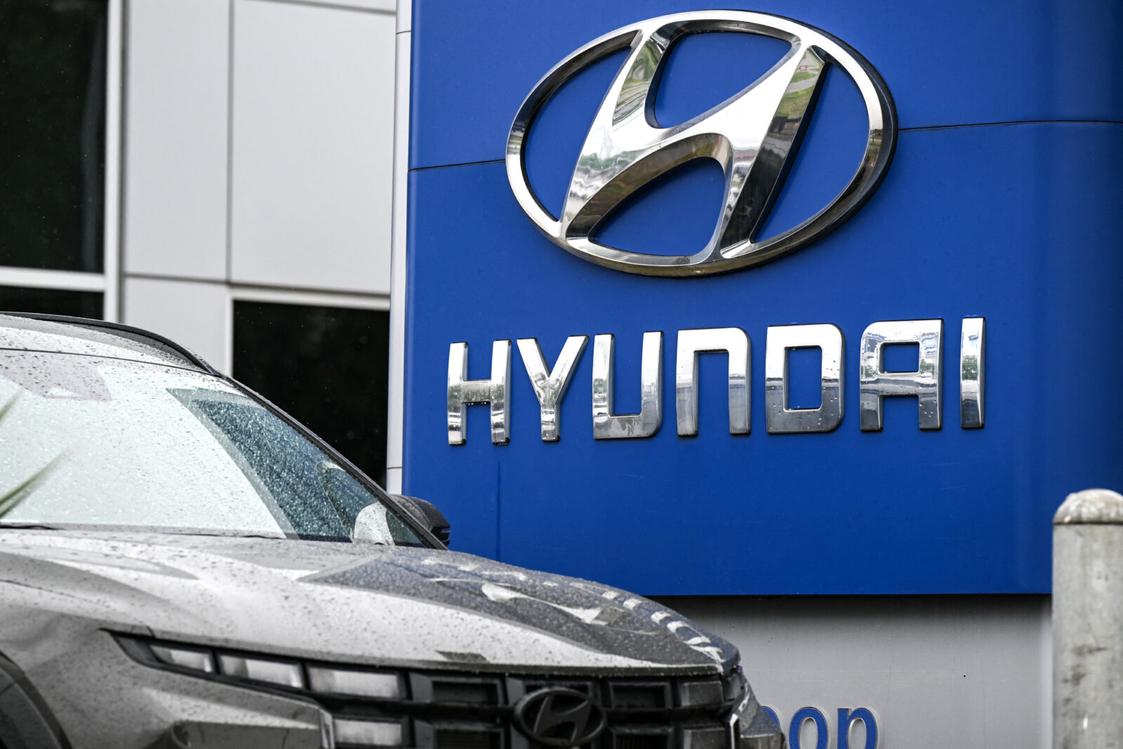 Trump tariffs on auto imports to shake US sales, hurt global carmakers: Fitch