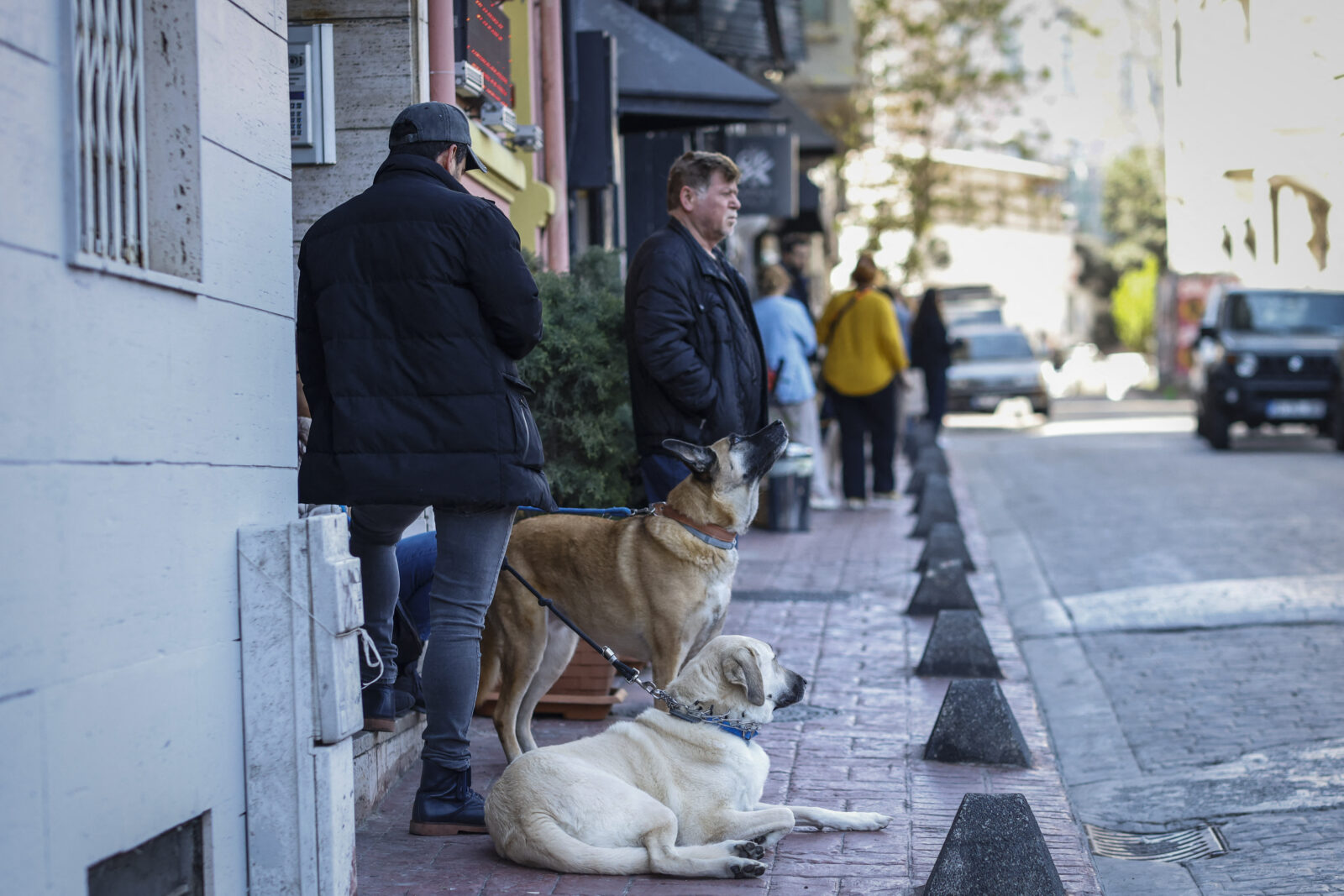 April 23 Istanbul earthquake raises alarm for 'even stronger' event, says seismologist Gorur