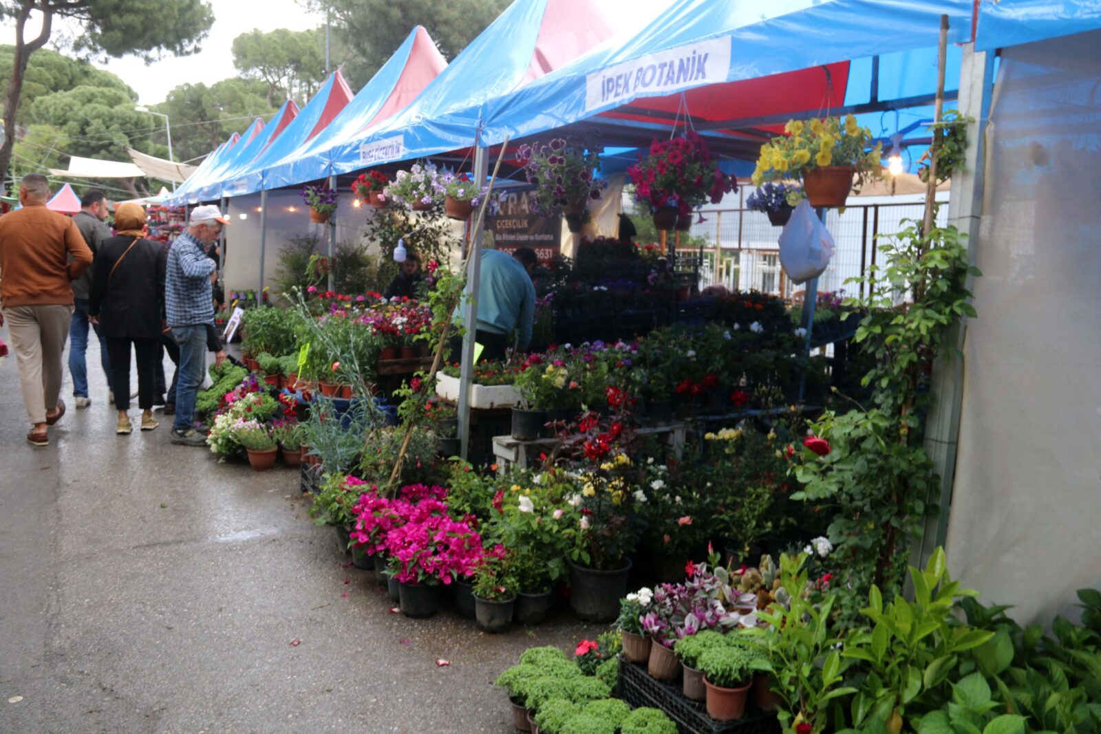 The 24th International Bayindir Flower Festival, held in the Bayindir district of Izmir, which is advancing towards becoming Türkiye's flower-growing center, May 4, 2023. (IHA Photo)